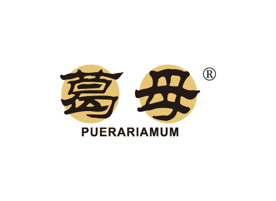 葛母 PUERARIAMUM