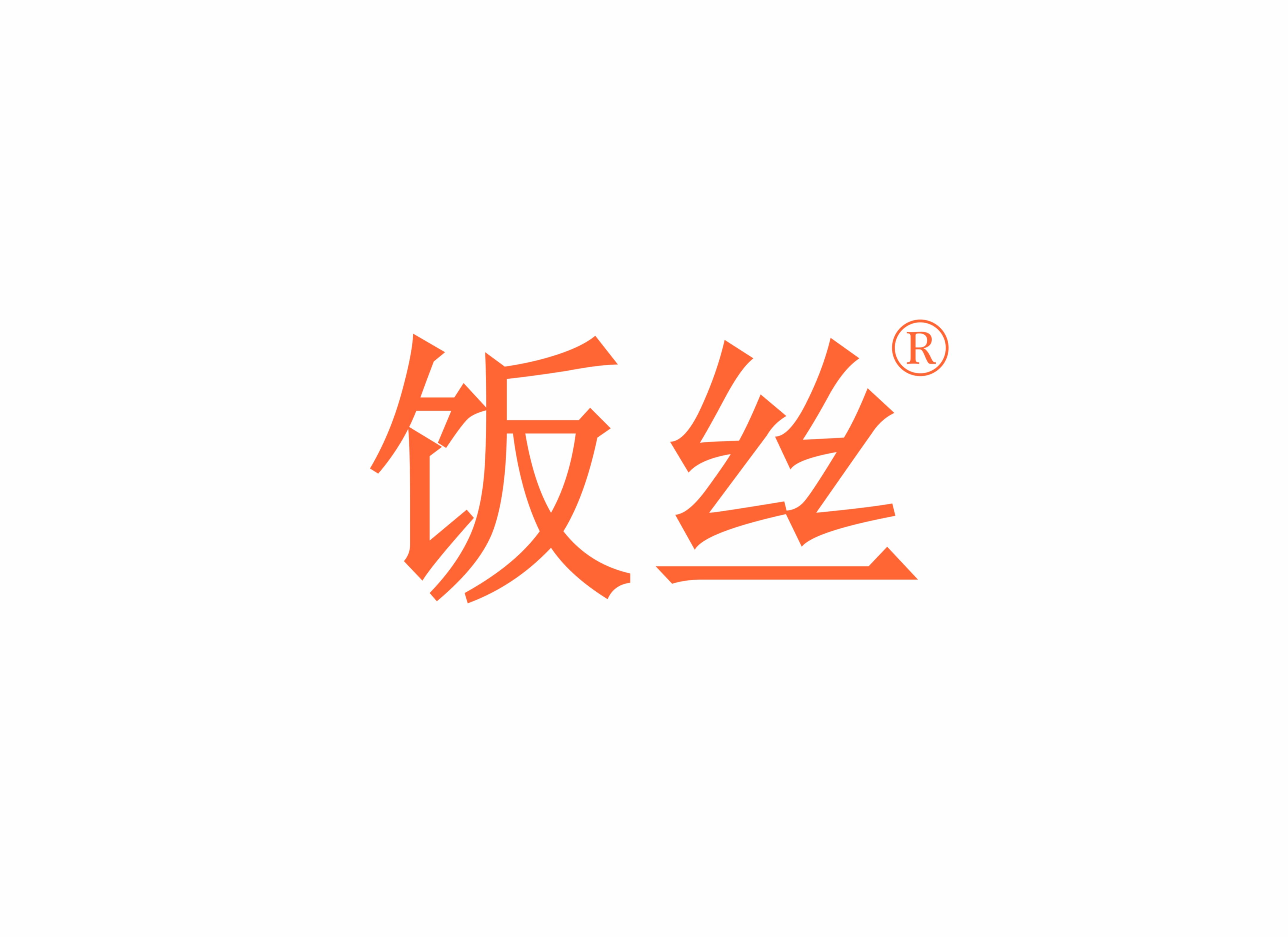 饭丝