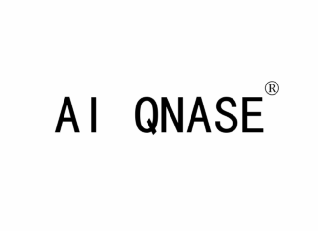 AI QNASE