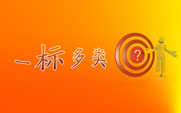 商標(biāo)注冊(cè)中的一標(biāo)多類