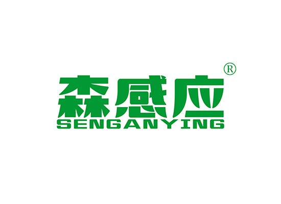 森感应;SENGANYING