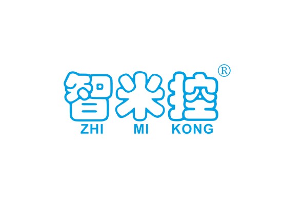 智米控 ZHI MI KONG