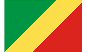 刚果共和国商标查询注册