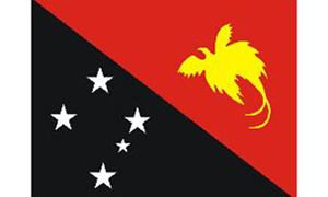 巴布亚新几内亚商标查询注册