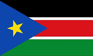 南苏丹共和国商标查询注册