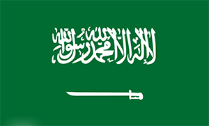 沙特阿拉伯商标查询注册