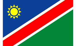 纳米比亚商标查询注册