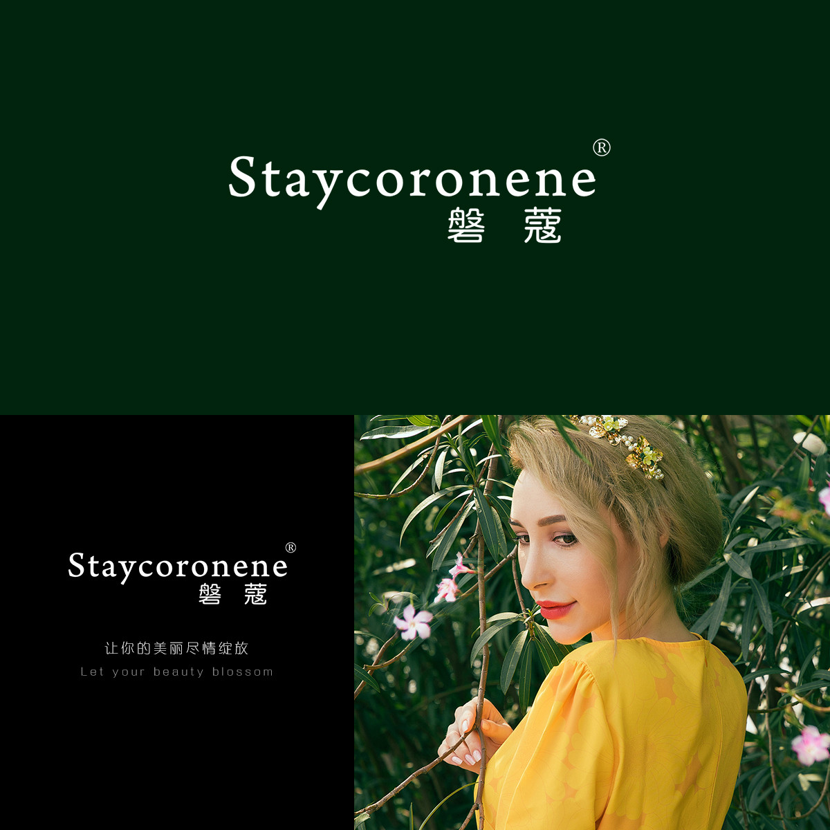 磐蔻,STAYCORONENE