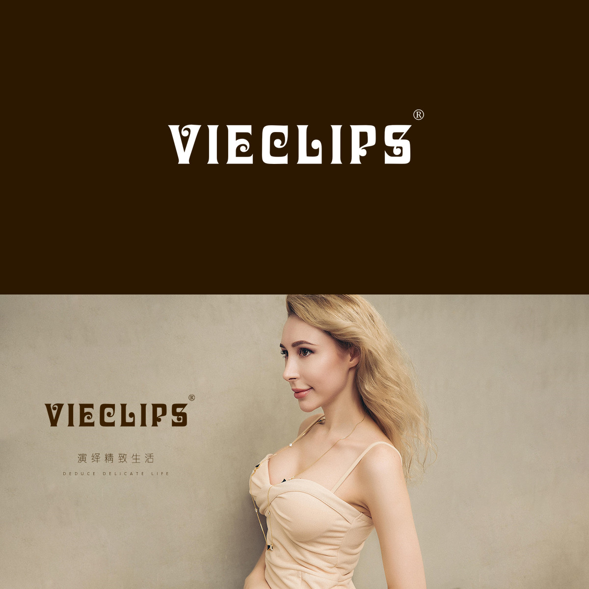 VIECLIPS