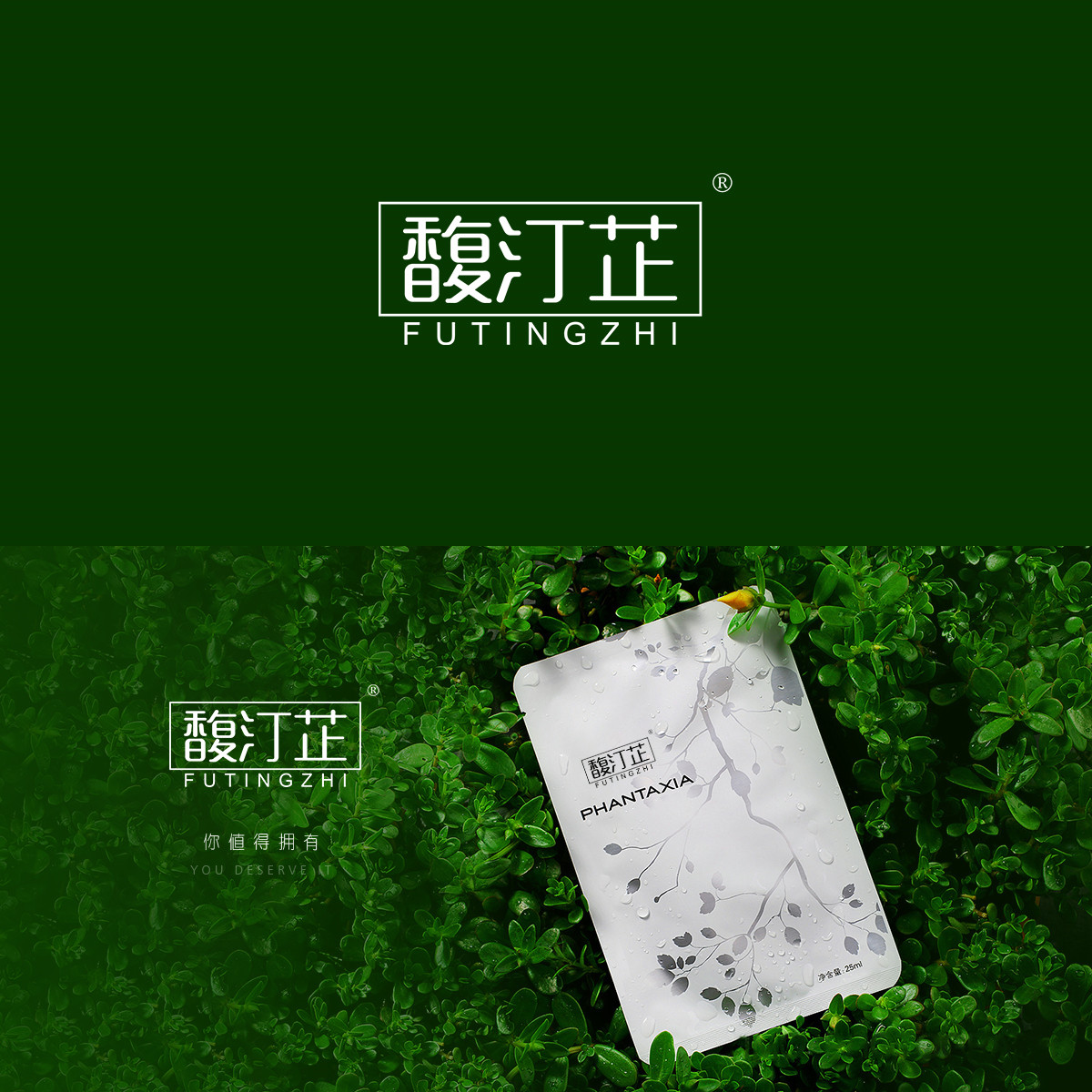 馥汀芷 FUTINGZHI