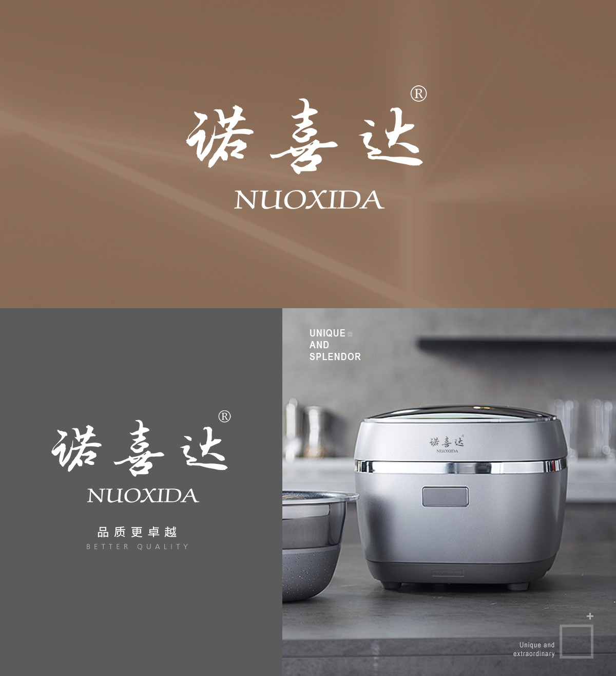 诺喜达 NUOXIDA