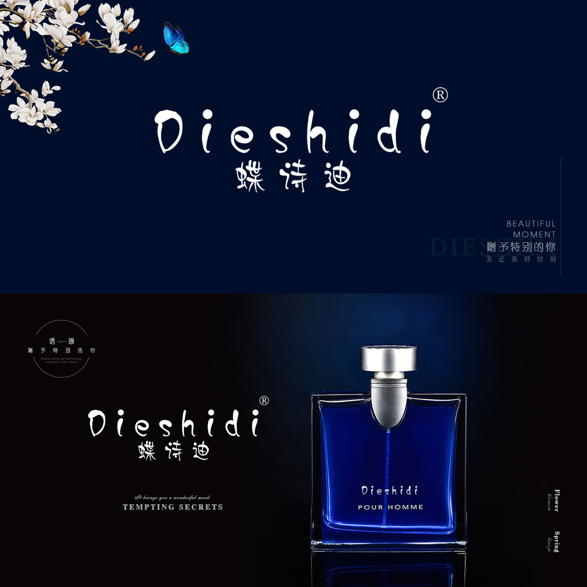 蝶诗迪 DIESHIDI