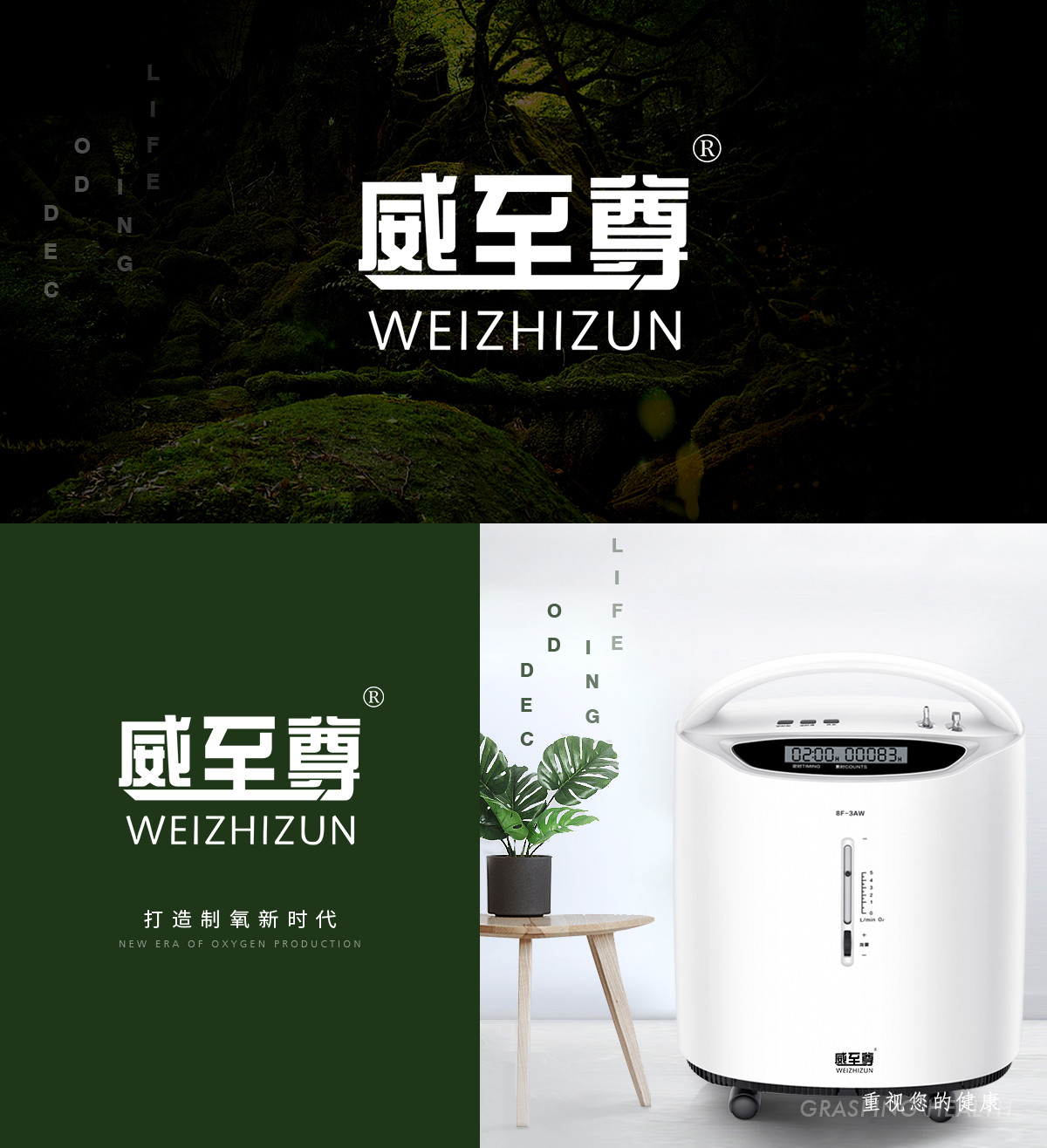 威至* WEIZHIZU*