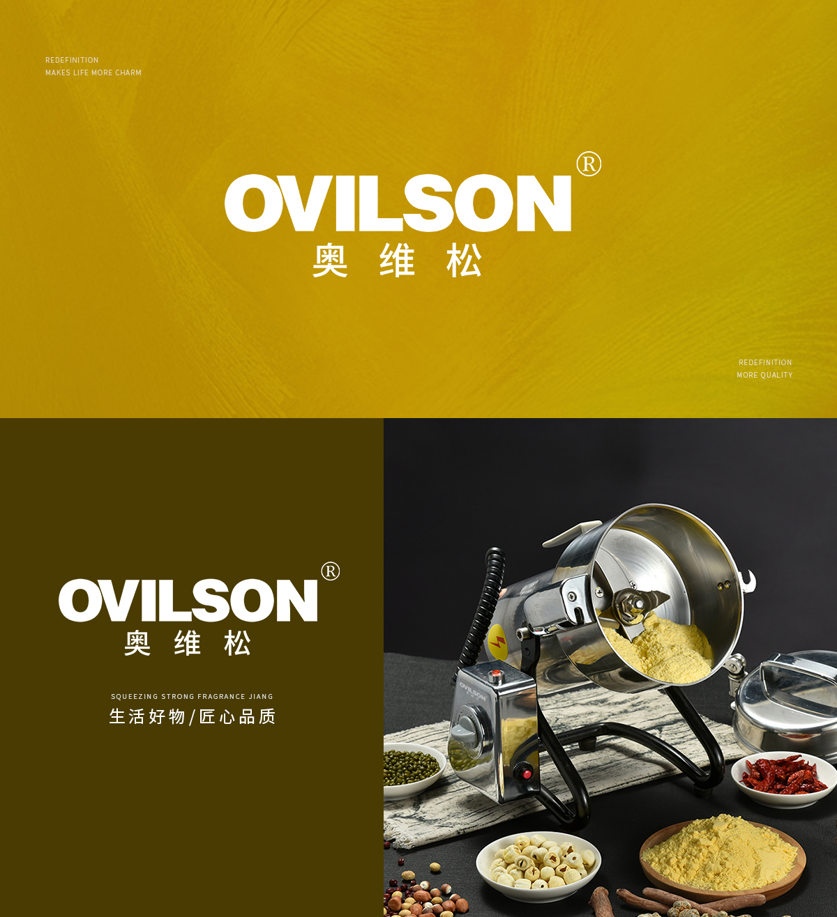 奥维松 OVILSON