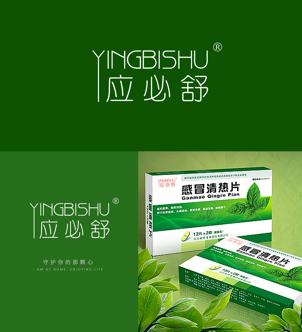 应必舒 YINGBISHU