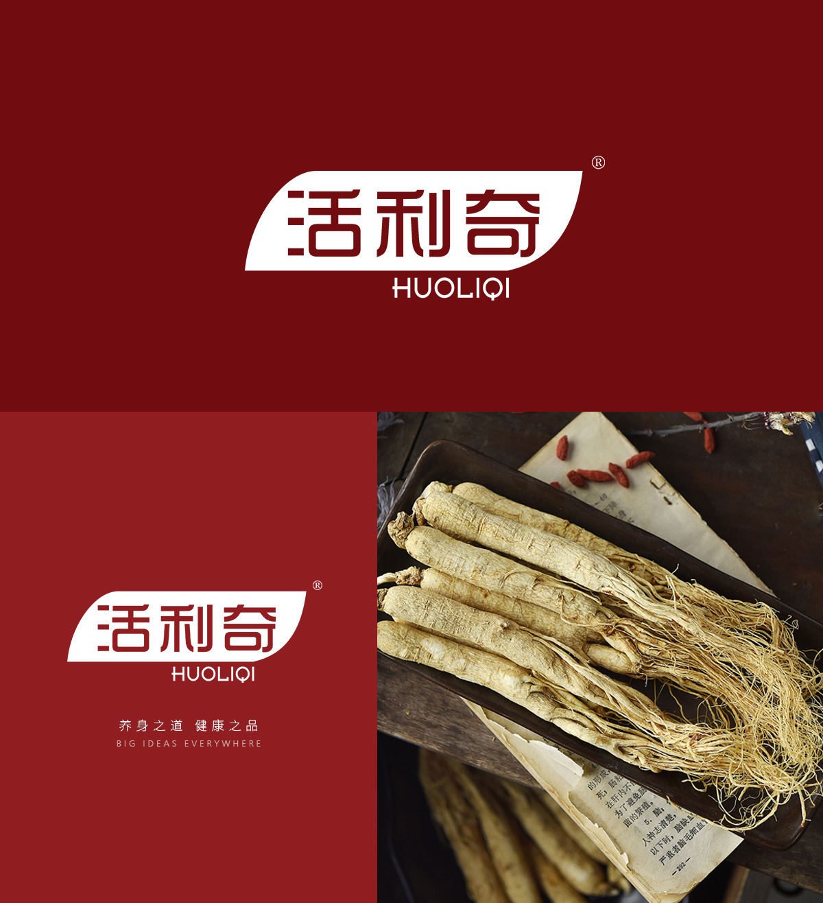 活利奇 HUOLIQI