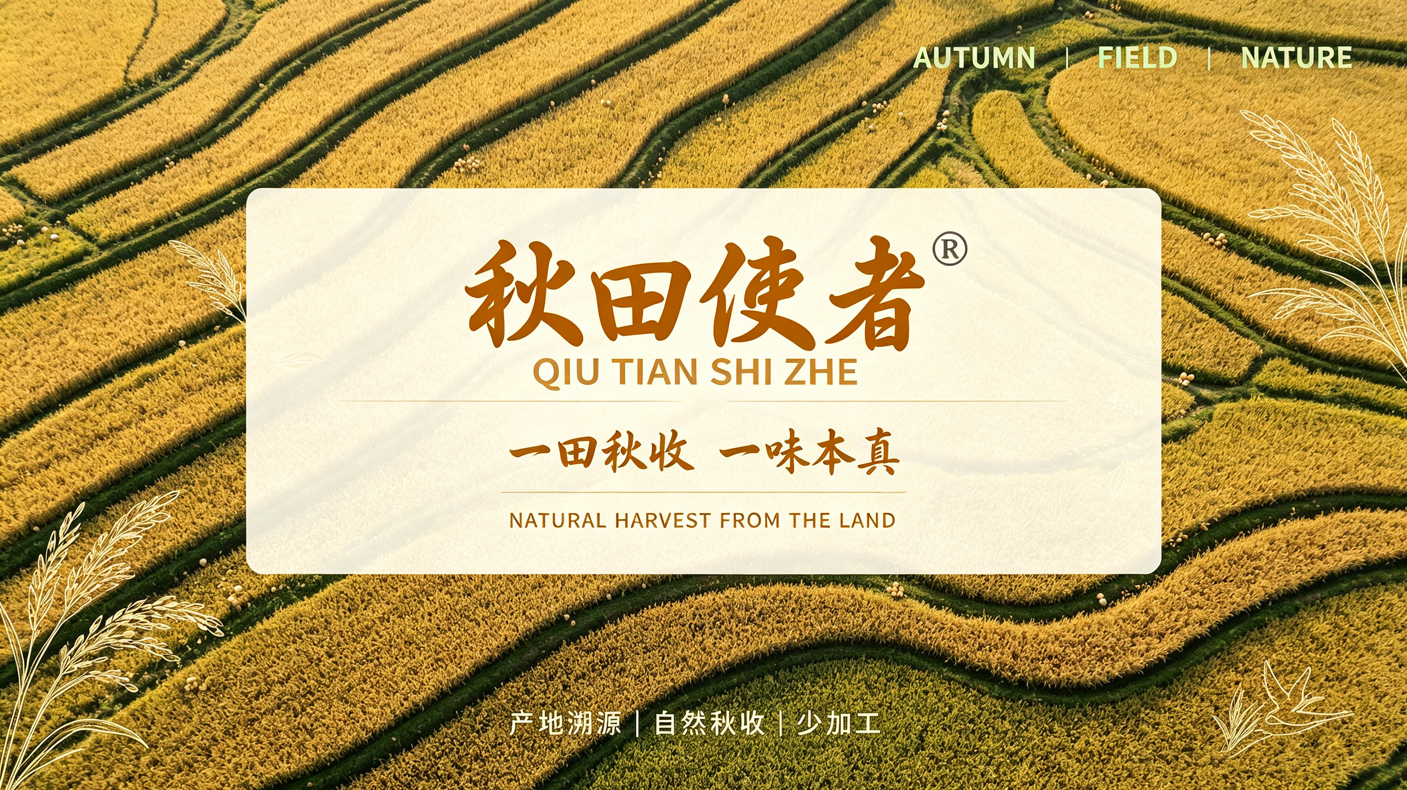 秋田使*QIU TIAN SHI ZH*