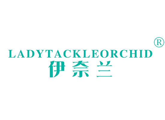 3-A2447 伊奈兰 LADY TACKLE ORCHID