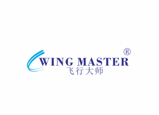 WING MASTER 飞行大师