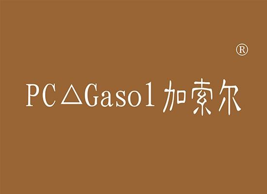 9-Y99637 加索尔 PC GASOL