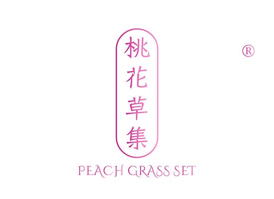 3-A778 桃花草集PEACH GRASS SET