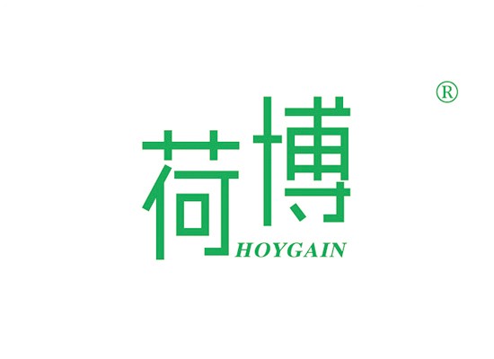 荷博 HOYGAIN