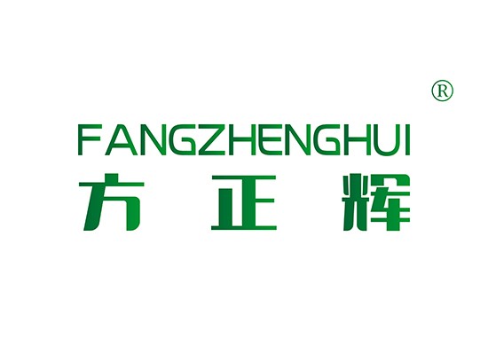 方正* FANGZHENGHU*