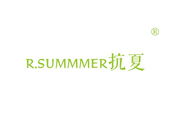 抗夏 R SUMMMER