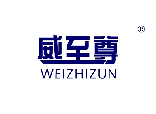 威至* WEIZHIZU*