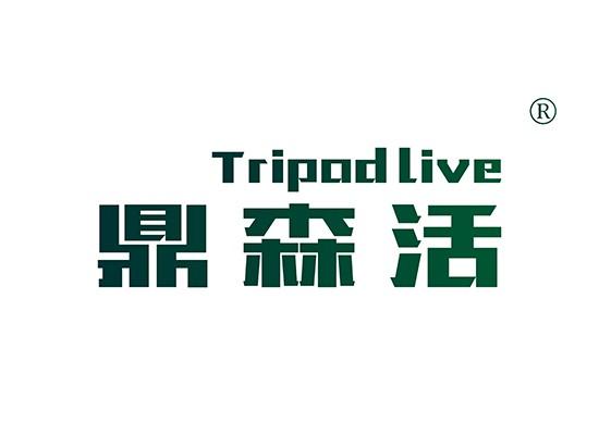 20-A406 鼎森活 TRIPOD LIVE