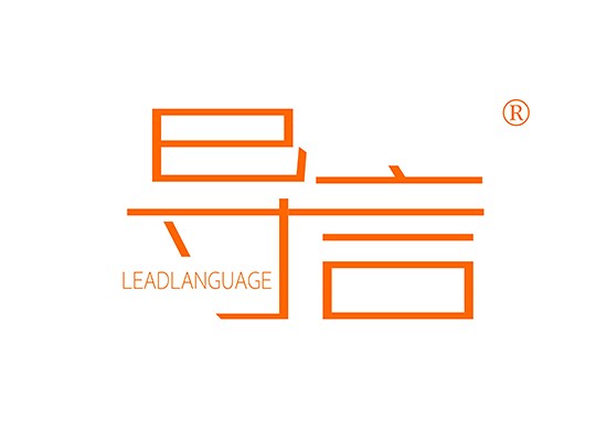 導* LEADLANGUAG*