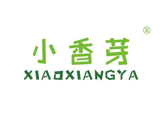 小香芽 XIAOXIANGYA