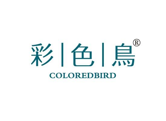 彩色鸟 GOLOREDBIRD