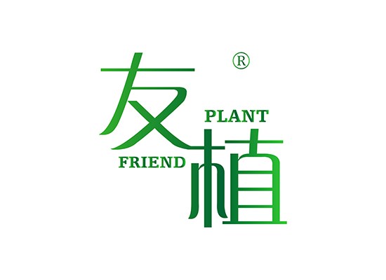 友植,FRIEND PLANT
