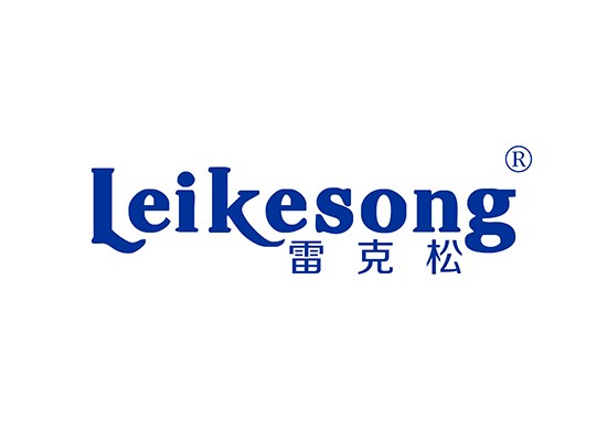 雷克松 LEIKESONG