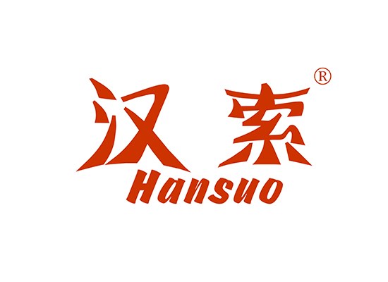 22-A016 汉索 HANSUO