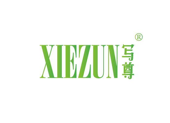 写* XIEZU*