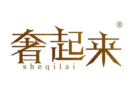 奢起来SHEQILAI