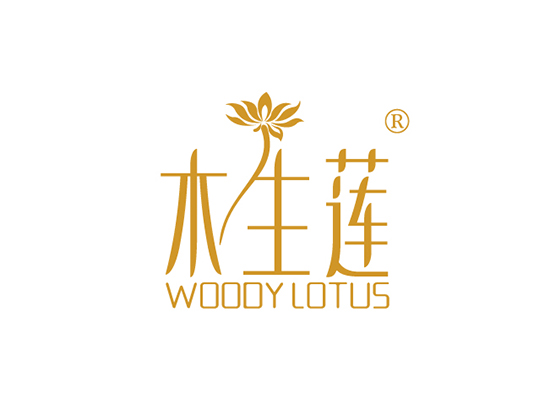 木生*,WOODYLOTU*