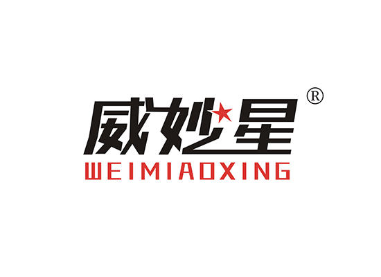 11-A1326 威妙星 WEIMIAOXING