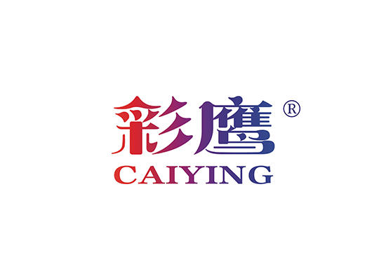 3-A1768 彩鹰 CAIYING