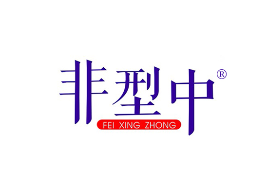 非型中 FEIXINGZHONG