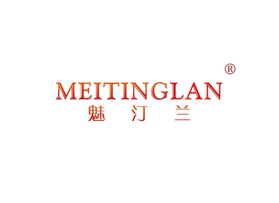 魅汀* MEITINGLA*