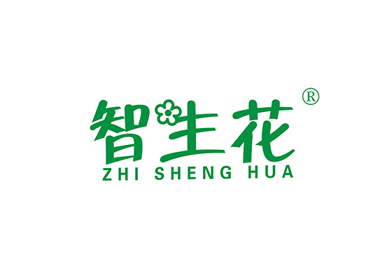 智生* ZHISHENGHU*