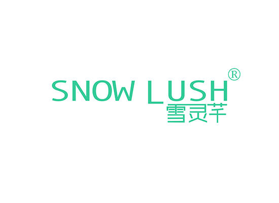 25-A5512 雪灵芊 SNOW LUSH