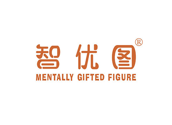 11-A1398 智优图 MENTALLY GIFTED FIGURE