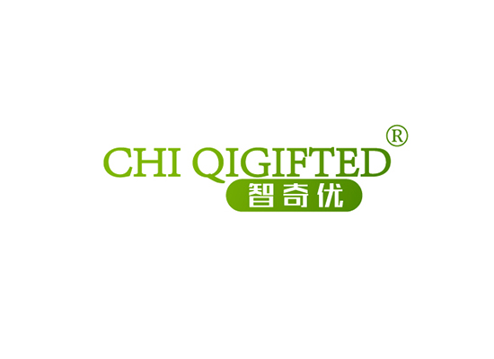 智奇优 CHI QIGIFTED