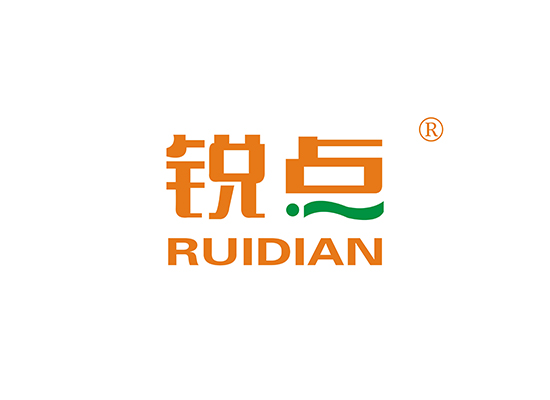 锐点 RUIDIAN