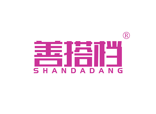 善搭档 SHANDADANG