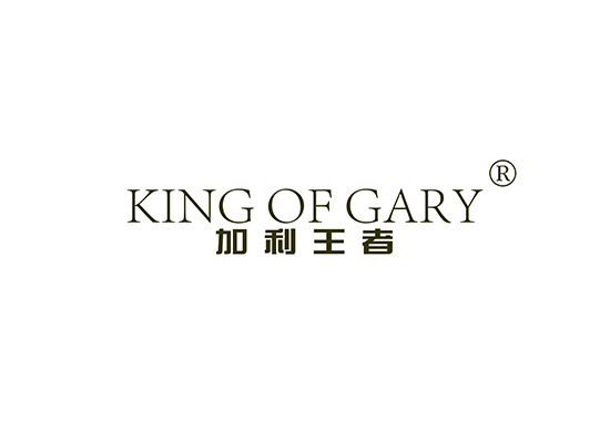 19-B921 加利王者 KING OF GARY